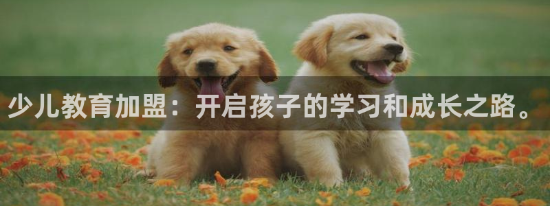 必一体育网页版登录