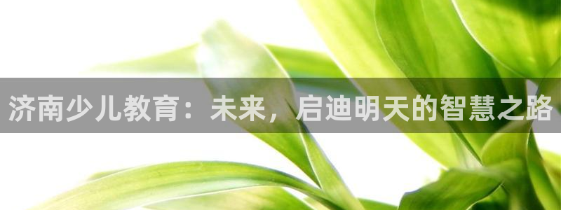 必一体育下载app下载