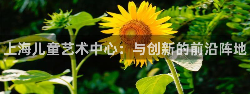 必一体育能提现大金额吗