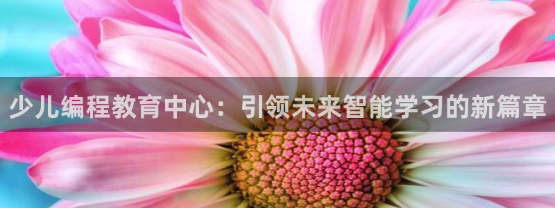 必一运动体育官网