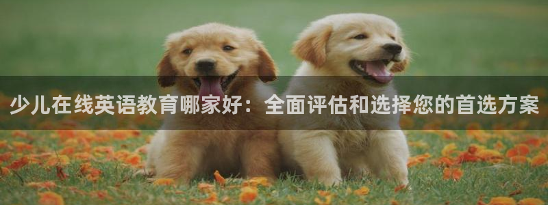 必一体育游戏玩法