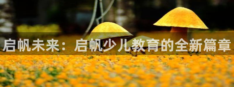 必一体育登陆