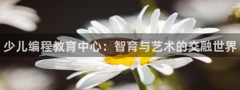 必一体育运动官网