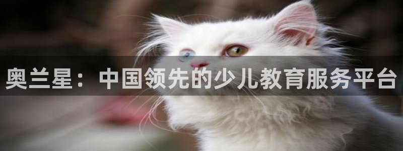 Bsport体育app必一