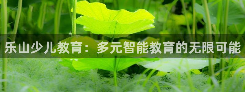 必一体育运动官网