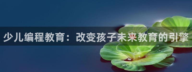 必一体育运动官网