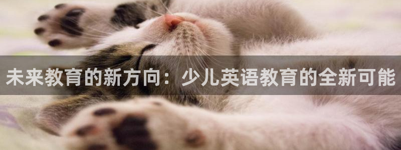 必一体育是啥