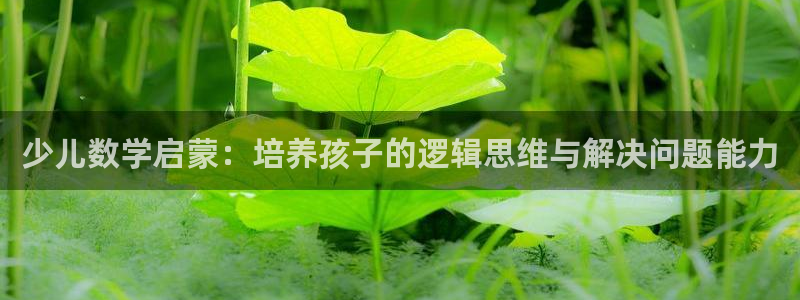 必一运动官网装机吧