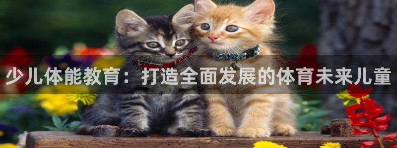 Bsport体育app必一