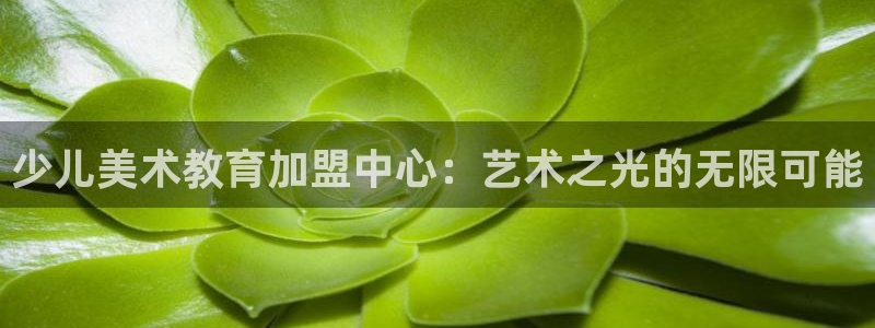 必一体育sport装机吧