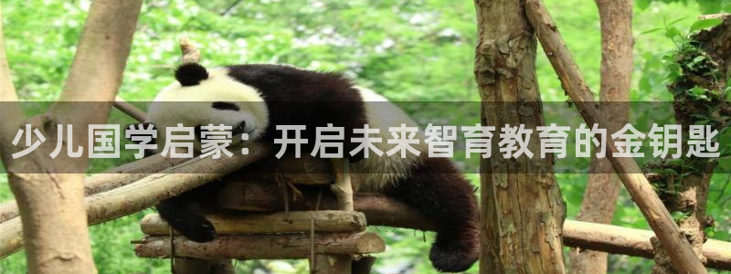 必一体育app下载最新版本苹果