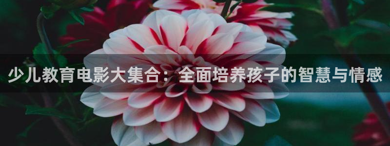 必一体育在哪下