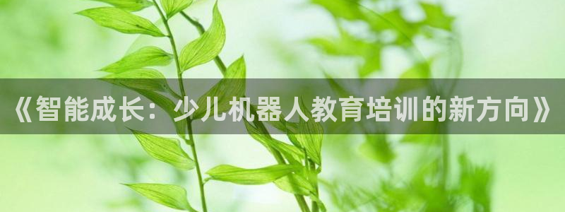 必一体育运动官网