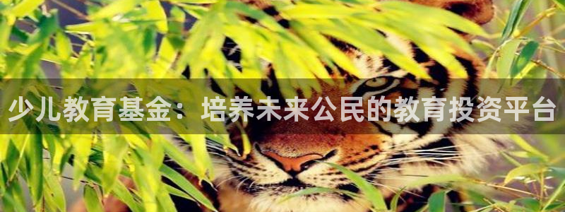 必一体育app下载安装