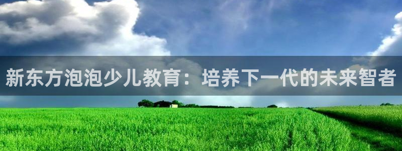 必一体育官网app