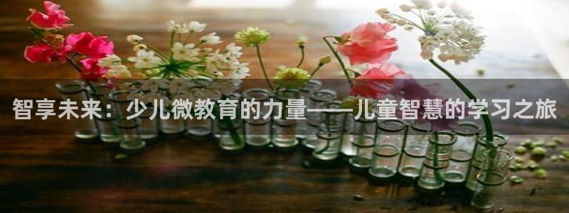 必一运动 b 体育素描版