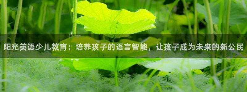 必一体育app官方下载入口