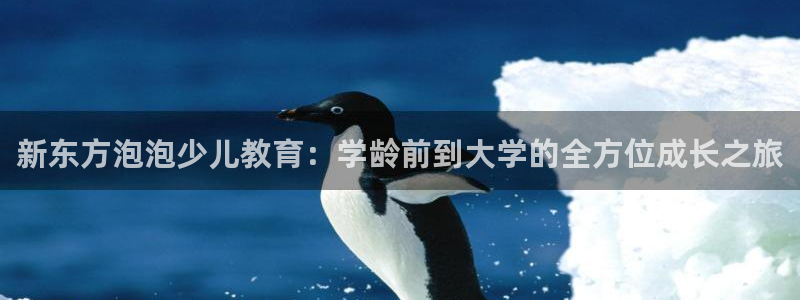 必一体育在线入口