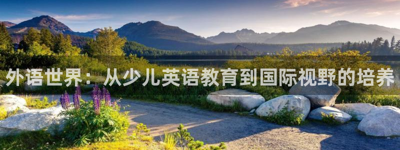 必一运动官网装机吧