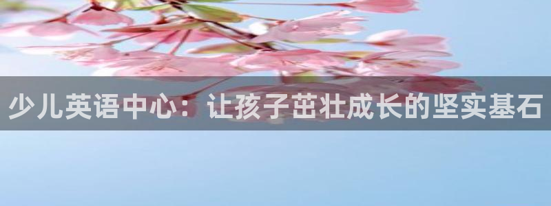 必一体育sport官网