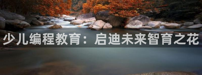 必一体育电子app