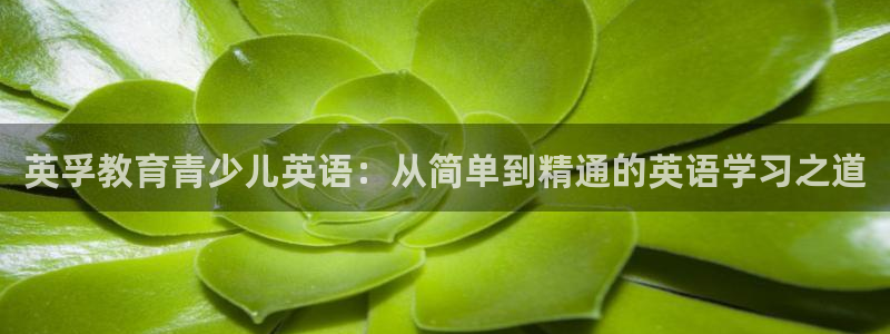 必一体育周公