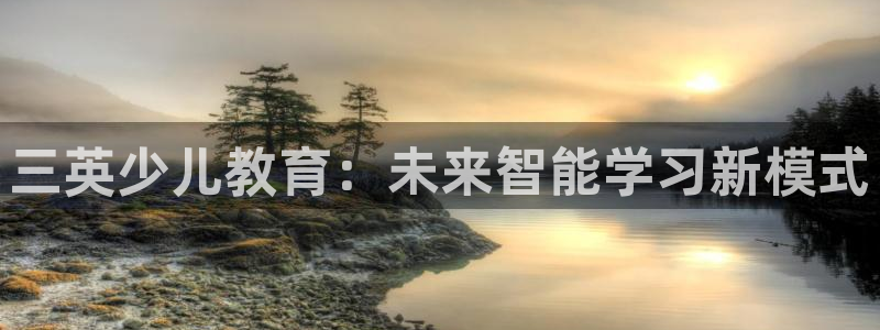 必一体育官方网站入口