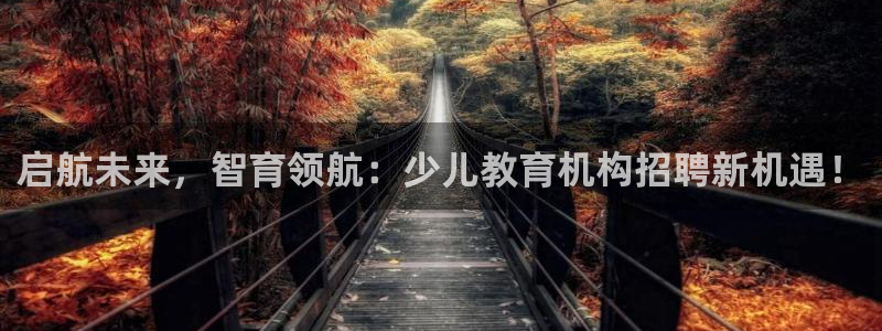 必一体育sport下载