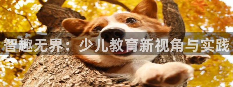 必一体育在哪下