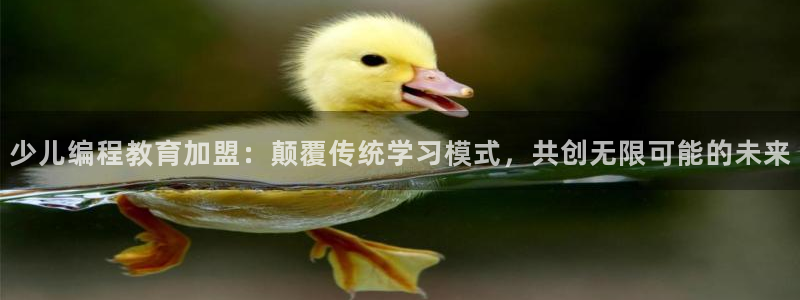 必一体育运动下载