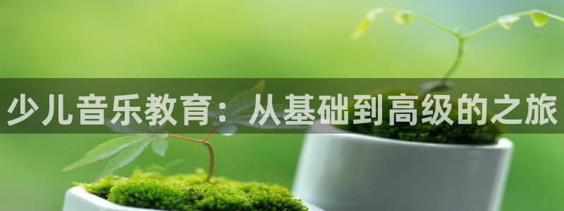 必一体育网页登录版官网