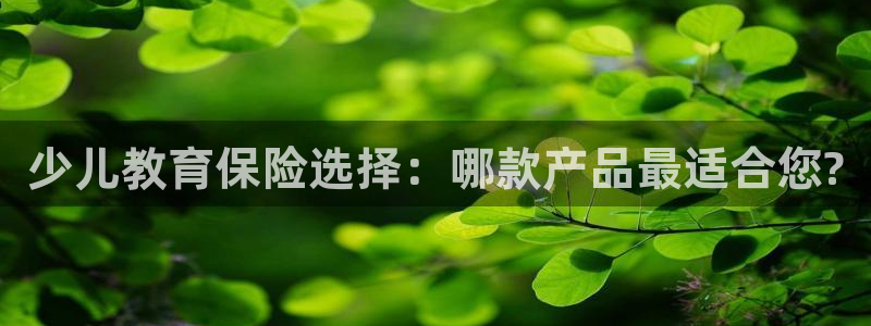 必一体育官网网站