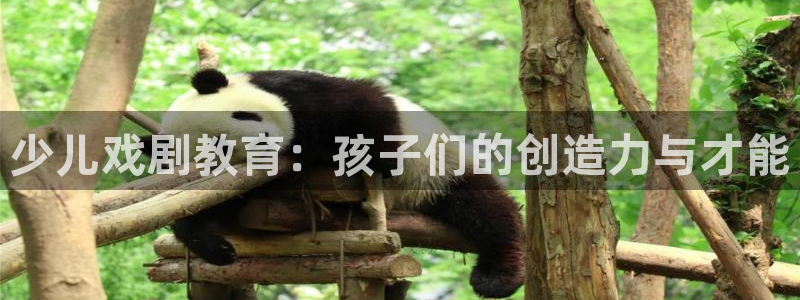 必十二和必一的副作用