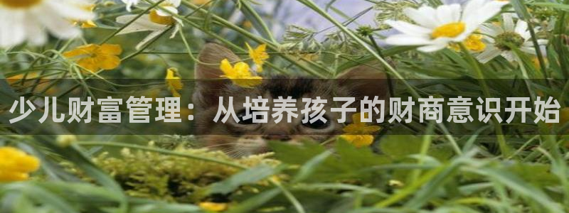 必一体育官网ios下载