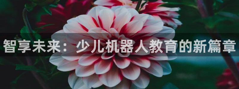必一体育运动平台官网