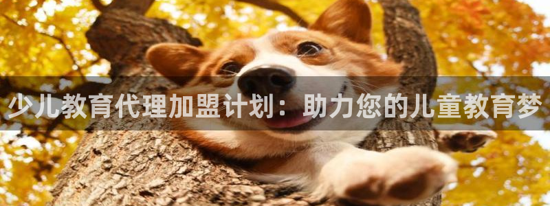 必一运动bsport体育app下载