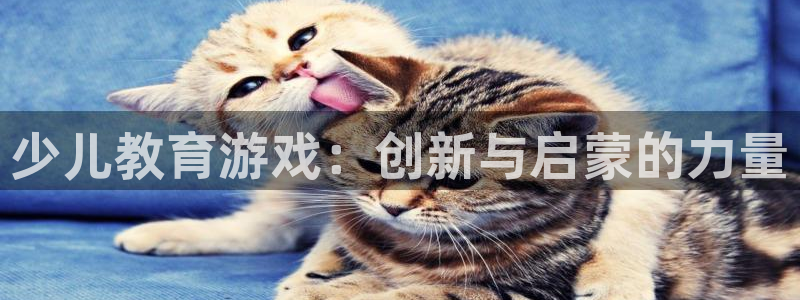 必一体育app官方网站