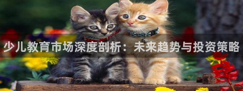 必一体育合法吗