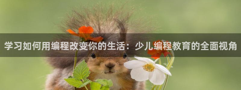 必一体育app官方下载入口