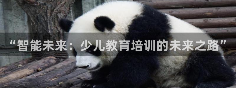 必一体育下载入口