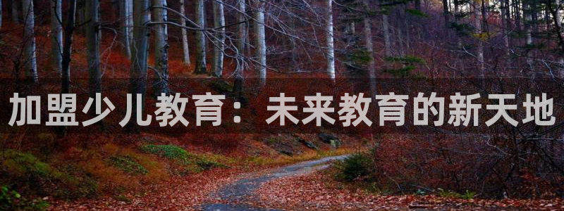 必一体育app官方正版下载