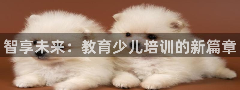 必一体育登录入口