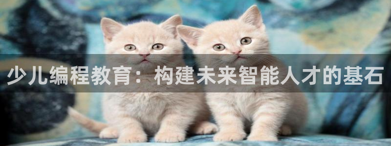 必一体育app下载装机吧