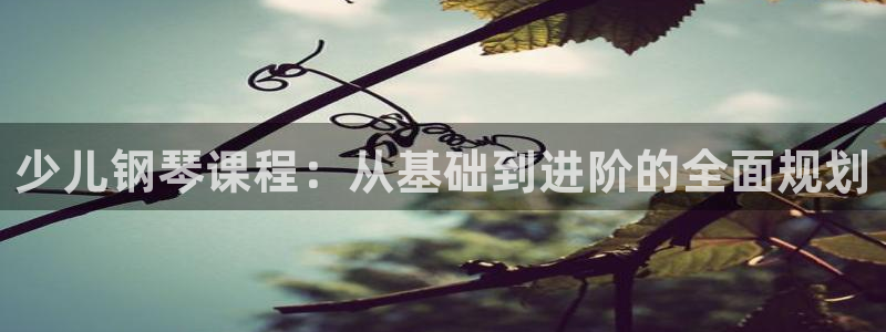 必一体育官网app