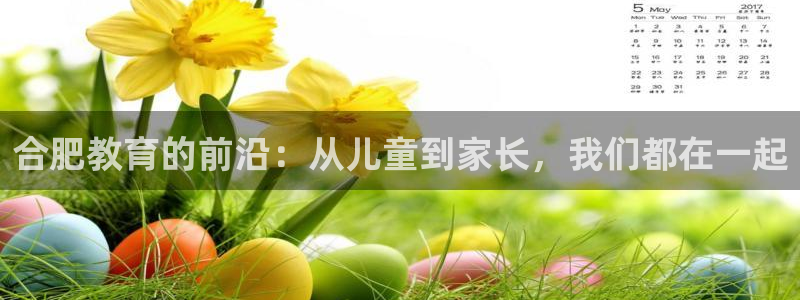 必一体育app下载装机吧