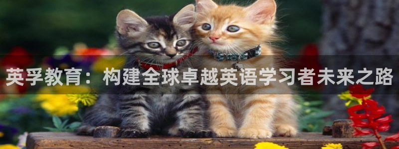 Bsport体育app必一