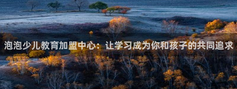 必一体育官方入口