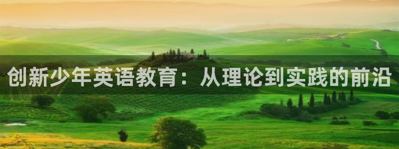 必一体育黑平台