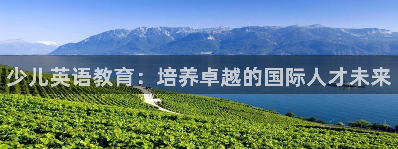 必一体育bsport下载