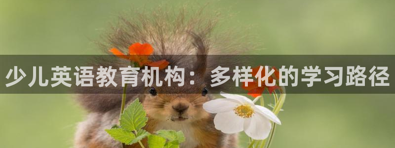 必一体育官方下载